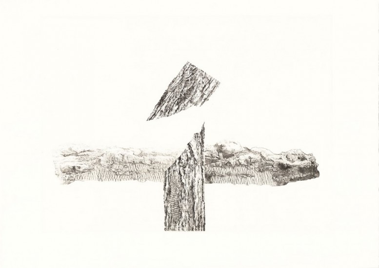 MUYU.4 | etching | 60×80 cm| 2015